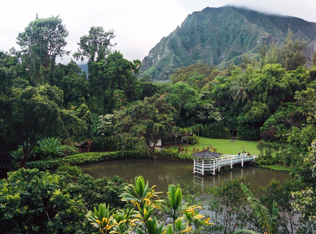 Hawaii O'ahu