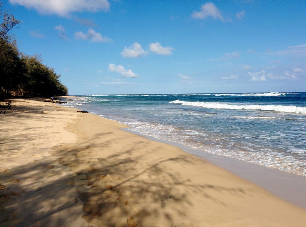 Hawaii IV Kaua'i