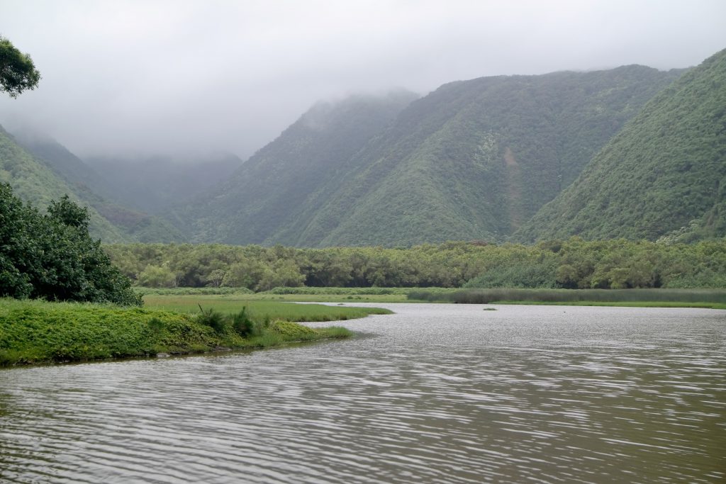 Hawaii - Big Island