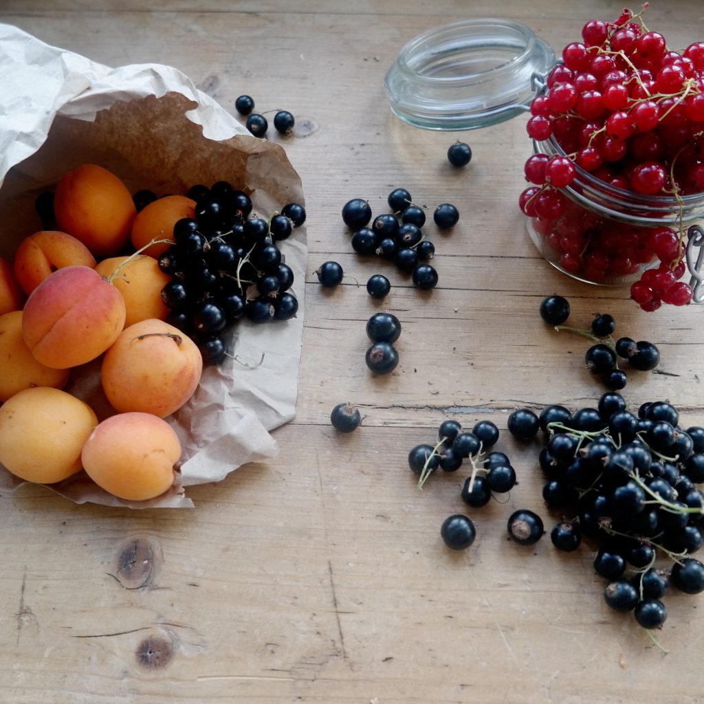 Aprikosen-Beeren-Tarelettes