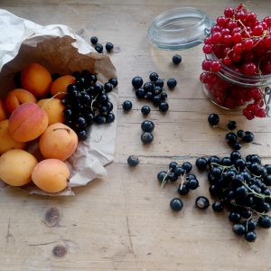 Aprikosen-Beeren-Tarelettes