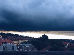 Sommerlieblinge